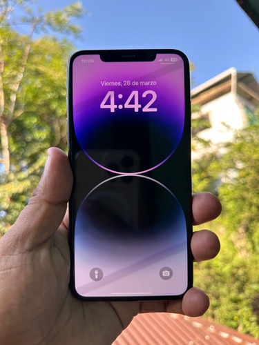Iphone Xs Max 64 Gb Negro (Usado)