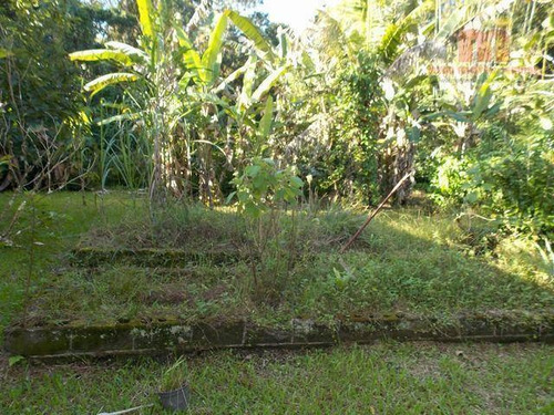 Imagem 20 de 30 de Chácara Residencial À Venda, Jardim São Fernando, Itanhaém. - Ch0096