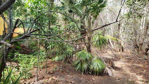 Imagen 20 de 29 de Terreno En Venta Punta Sam, Isla Mujeres