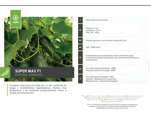Pepino Spickler F1 Super Max De 1 Mil Sem De Us Agriseeds
