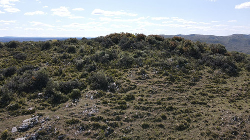 Campo En Rocha De 137ha (ref: Atm-6803)