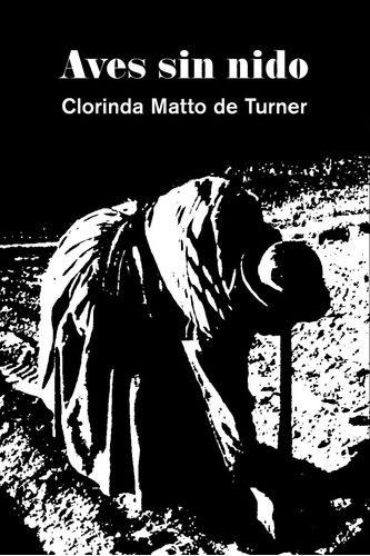 Libro : Aves Sin Nido  - Matto De Turner, Clorinda _d