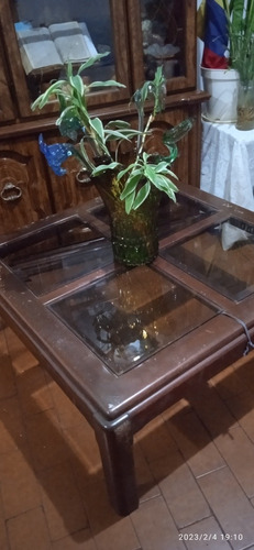 Vendo Mesa De Centro (Usado)