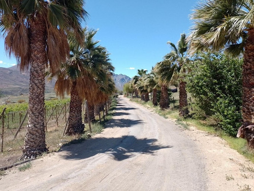Imagen 2 de 20 de Predio Agua Amarilla, Monte Patria