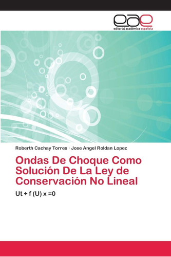 Libro: Ondas De Choque Como Solución De La Ley De Conservaci