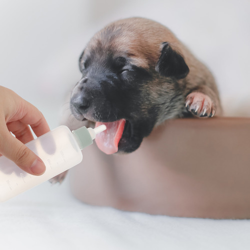 Biberones De Alimentación Para Mascotas, Paquete De Silicona