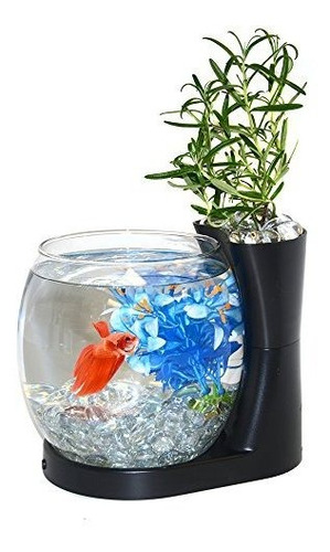 Elive Betta Fish Bowl / Betta Fish Tank Con Planter, Pequeño