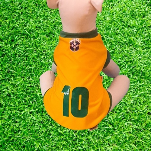 Roupinha Cachorro Camisa Copa Personalizado Com Nome Tam 2