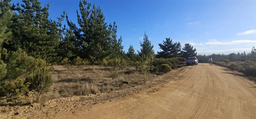 Parcela En Venta En Pichilemu