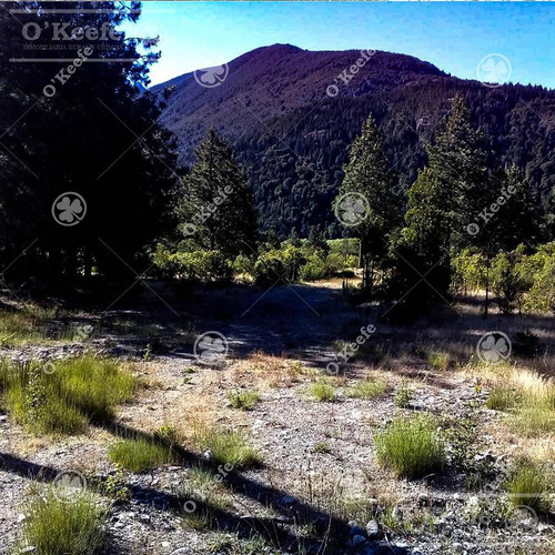 Imagen 8 de 17 de Chacra / Fracción En Venta En Patagonia Argentina - 12 Has Sobre Rio - Fly Fishing Pesca Con Mosca.