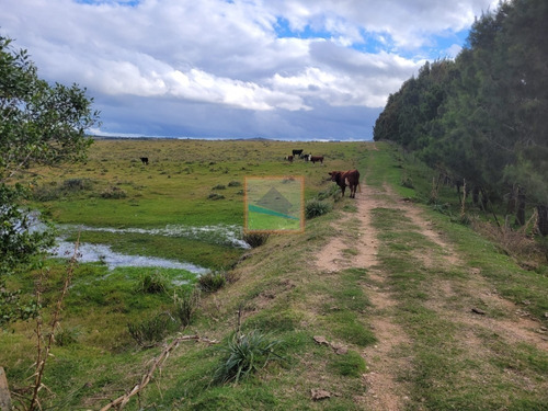 Imagen 11 de 25 de 20has De Campo Sobre Ruta 12 Pueblo Edén