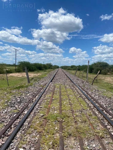 Venta Campo 500 Ha En Lugones, Santiago Del Estero