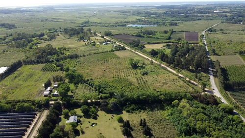 Imagen 4 de 7 de Venta Chacra Melilla, 3 Hectáreas, A 5 Km De Uam