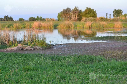 Imagen 2 de 10 de Lote De 1.5ha Con Laguna Interna - Santa Maria De Lobos