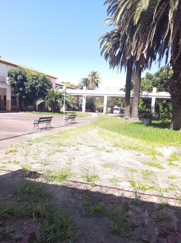 Imagen 5 de 22 de Excelente Edificio, Ideal Colegio, Universidad O Similar. Excelente Ubicacion Centrica Dentro Del Radio Urbano De Bella Vista, Con Buen Acceso Con Todos Los Medios De Transporte