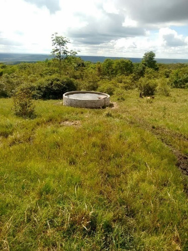 Imagem 21 de 27 de Fazenda Com 377 Tarefas Em Morro Do Chapéu - Bahia - Afd015 - 70334233