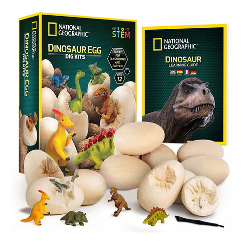 Kit De Ciencias  Excavación De Dinosaurios Geográficos N Ktc