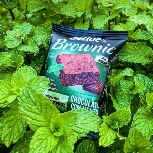 Imagem 2 de 7 de Brownie Belive Chocolate Com Menta Zero 10x40g
