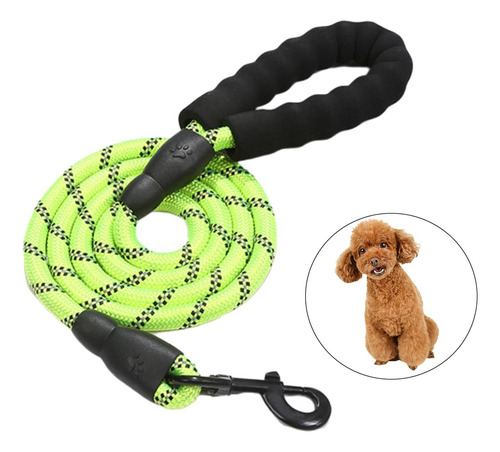 Hilos Reflectantes Correas De Perro Correa De Nylon Verde