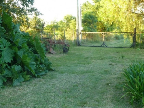Imagen 3 de 30 de Excelente Chacra 3 Hectareas En Uruguay En El Departamento De Soriano, Permuta En Caba