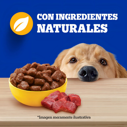 Pedigree Alimento Húmedo Sobre Perro Adulto Carne 12 Und