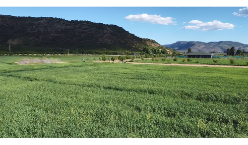 Parcelas Agroresidenciales Exclusivas En Curico Sector Rauco