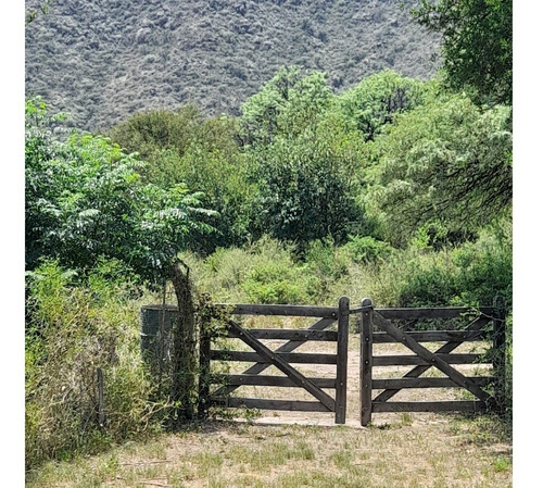 Imagen 8 de 30 de Paraíso Escondido , Campo De 78 Hectareas, En Venta En San Luis, Al Pie De Las Sierras Altas, Valle, Vista Única, Con Río Al Fondo , Bosque Nativo, Realmente Unico,,,para Mudarte Y Cambiar De Vida
