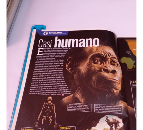 Revista Muy Interesante No 11 Octubre 2015 (Usado)