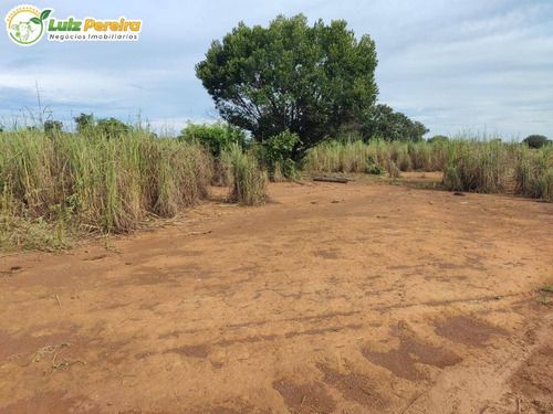 Imagem 14 de 15 de Fazenda À Venda Em Santa Maria Das Barreiras - Pa - 977,58 Hec. (d.aptidão) - 2278