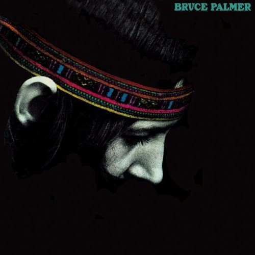 Lp The Cycle Is Complete [vinyl] - Palmer, Bruce
