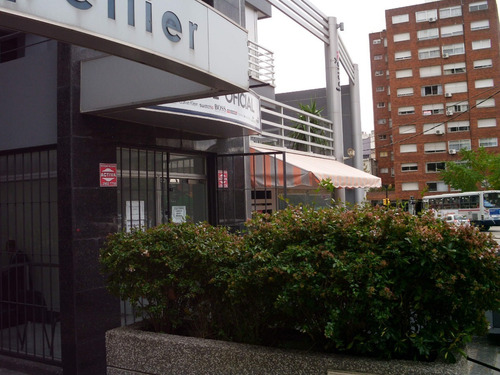 Imagen 15 de 15 de Ideal Inversores Local En Pujante Zona Comercial