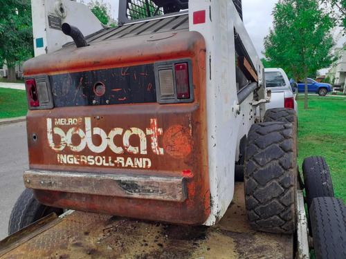 Bobcat