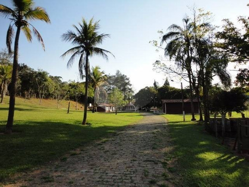 Imagem 12 de 20 de Sítio À Venda Em Joaquim Egidio - Si206744