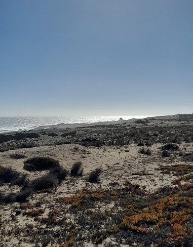 Vendo Terreno 1 Ha Primera Línea En Playa La Cebada - Ovalle