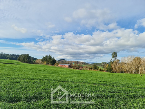 Campo 78 Ha En Traiguén Entre Rios