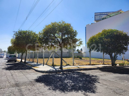 Atención Inversionistas!!!! Venta De Edificio, Terreno Y Cafetería