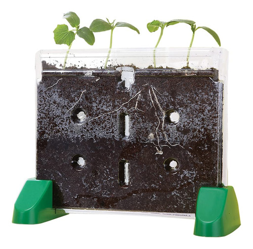Ventana Educational Insights, Sprout & Grow Window