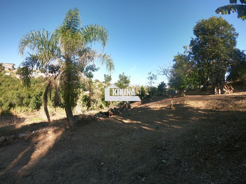 Imagem 23 de 30 de Chácara Para Venda - 02950.9321