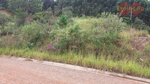 Imagem 2 de 3 de Terreno - Chácara San Martin I - Te0355