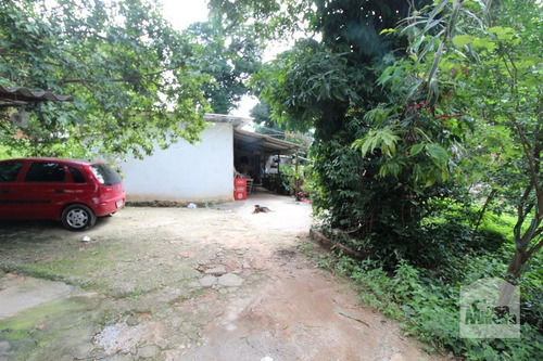 Imagem 2 de 5 de Lote À Venda No Parque São José - Código 259986 - 259986