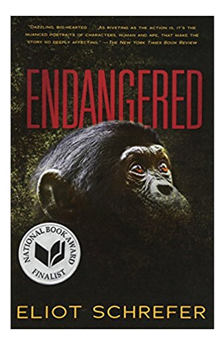 Ape Quartet 1: Endangered - Scholastic Kel Ediciones 