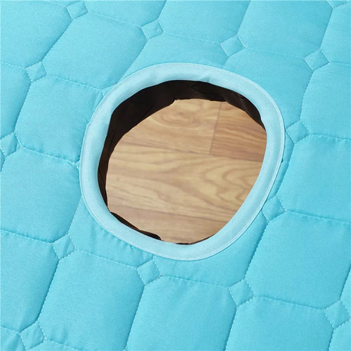Cojín Colchón Cama Masaje Spa Azul