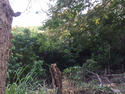 Imagen 12 de 12 de Excelente Terreno En Venta En La Peninsula De Las Hadas