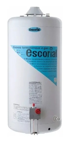 Imagen 2 de 5 de Termotanque Escorial 80l Multigas Gas Nat/envasado