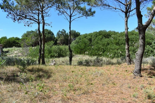 Imagen 2 de 2 de Lote A La Venta En Costa Esmeralda - Maritimo Ii Al 50 - Ref: 51