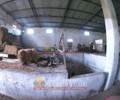 Imagen 25 de 30 de Chacra 10 Has En Venta Con Construcciones En Carrasco Del Sauce,