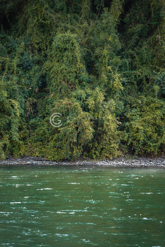 Imagen 10 de 21 de Parcelas A 18 Km De Rio Bueno Con Orilla De Rio