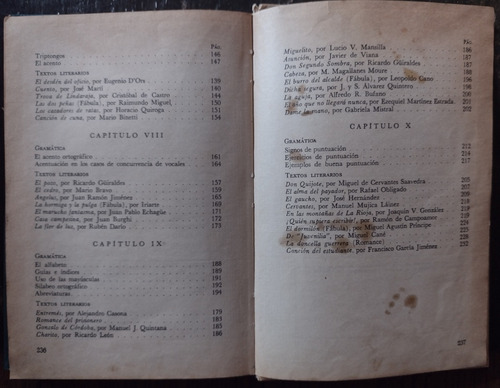 Castellano, Gramática Y Textos De Héctor Luis Arena - Codex (Usado)