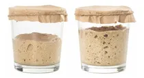 Comprar Masa Madre Natural Con Harinas Elizondo Levadura Fresca K