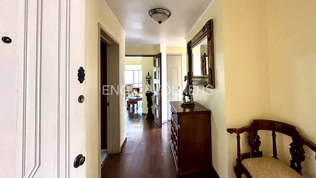 Imagen 4 de 20 de Departamento En Concepción Centro